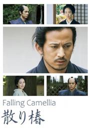Falling Camellia